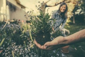 pain free gardening tips