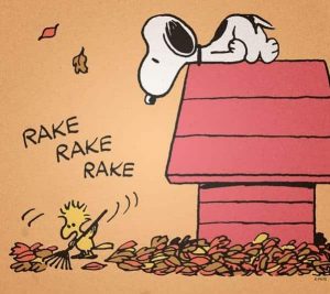 tips to rake leaves pain free