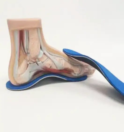 physiotherapy service in Pickering and Milton foot orthotics in Milton and Pickering